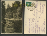 Schwarzatal sw-Foto-AK Thringer Wald 1931 (d4414)