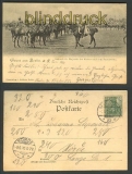 Berlin sw-AK Kaiser auf dem Paradefeld 1900 (d3144)