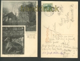 Winterstein sw-AK Ruine und Hundedenkmal 1912 (d3744)