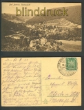 Bad Bertrich sw-AK Totalansicht 1924 (d3397)