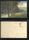 ANNABERG farb-AK Weg zum Phlberg 1924 (d6877)