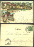 Gross-Sedlitz farb-Litho-AK Gruss a d Pechhtte (d1282)