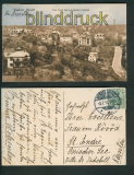 Weisser Hirsch farb-AK vom Turm des Louisenhof gesehen 1910 (d5368)