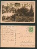 Bad Homburg sw-AK Aussichtsturm Herzberg 1923 (d5256)