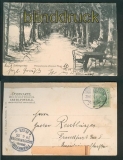 Schlangenbad sw-AK Philosphenweg (Nassauer Allee) 1905 (d5259)