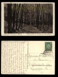 Koserow Ostseebad auf Usedom sw-AK Buchenwald 1926 (d5451)