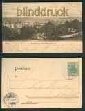 Bonn sw-AK Totalansicht vom Venusberg aus 1904 (d5325)