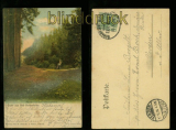 BAD ROTHENFELDE farb-AK Partie aus dem Obersundern Bahnpost 1904 (d5965)