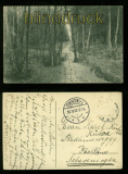 MELLE sw-AK Weg zum Weberhaus 1909 (d6279)