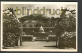 Baden-Baden sw-Foto AK Gnneranlage 1952 (d3080)