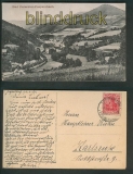 Bad Petersthal-Freyersbach sw-AK Gesamtansicht 1921 (d4979)
