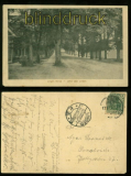 LINGEN sw-AK Unter den Linden 1915 (d0041)