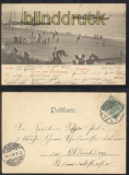 Norderney sw-AK Gruss aus ......  Strandleben 1899 (d0119)