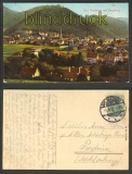Bad Harzburg farb-AK mit Burgberg 1912 (d4198)