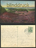 Hsseringen farb-AK Heidelandschaft Lneburger Heide 1908 (d4195)