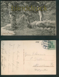 Neuenburg sw-AK Gru vom Urwald 1913 (d5284)