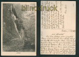 Neuenburg sw-AK Neuenburger Urwald 1927 (d5290)