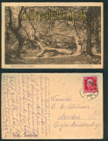 Neuenburg sw-AK Neuenburger Urwald 1927 (d5292)