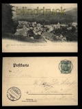 Bad Grund am Oberharz sw-AK vom Gitterberge aus 1903 (d5481)