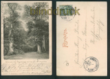 Neuenburg sw-AK Neuenburger Urwald Amalienplatz 1901 (d5301)