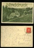 BAD ALTHEIDE sw-AK Wiesengrund 1924 (d6421)
