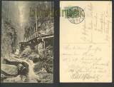 Schreiberhau sw-AK Zackelklamm 1909 (d4014)