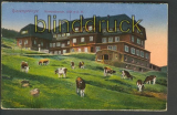 Brckenberg farb-AK Hampelbaude ungebraucht (d3913)