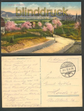 Gruss aus Muffendorf farb-AK Pfirsichblte 1916 (d3375)