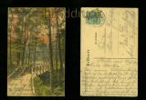 HATTINGEN farb-AK Partie im Stadtwald mit Teufelsbrcke 1912 (d6638)