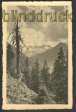 Krimml sw-Foto-AK Blick auf Reichenspitzgruppe  (a0582)