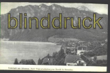 stereich sw-AK Unterach am Attersee ca. 1915 (a0381)