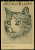 Katze sw-AK Kurzhaariger Graumarmor alte Karte ungebraucht (42459)