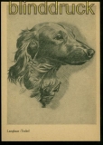 Hunde sw-AK Langhaar-Teckel alte Karte ungebraucht (42460)