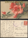 Frankreich Blumen-AK 1919 mit franz. Marken und deutschem Stempel (46564)