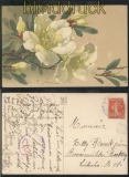 Frankreich Blumen-AK 1919 mit franz. Marken und deutschem Stempel (46566)